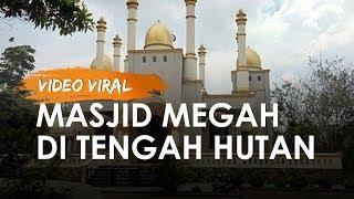 Cerita di Balik Video Viral Masjid Megah di Tengah Hutan