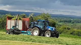 Silage 2021 - NH T6020 with Mengele SH40 trailed harvester