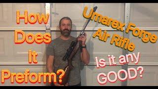 Are air rifles any good?