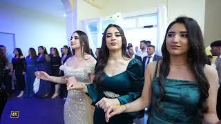 Xesan Eshed  Ali & Walla   Part03  Kurdische Hochzeit by #DilocanPro