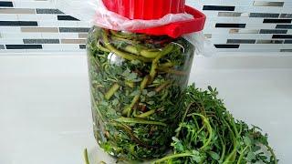 Purslane Pickles Recipe How to Make Purslane Pickles?