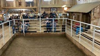 03.25.2023 Horse Sale