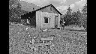 3 Haunting Cabin in the Woods Murders