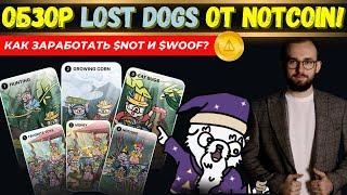  NOTCOIN ВЫПУСТИЛ НОВЫЙ ПРОЕКТ ОБЗОР LOST DOGS КАК ЗАРАБОТАТЬ $WOOF?