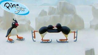 Pingus First Kiss   Pingu - Official Channel  Cartoons For Kids