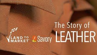 The Story of Leather  Regenerative Agriculture Documentary