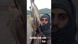 gulfam fishing  rahu fishing #shorts #viral #fishing