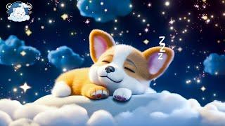 Songs to Sleep in a Few Minutes Relaxing Music for a Deep and Calm Sleep #2