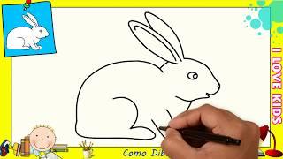 Como dibujar un conejo FACIL paso a paso para principiantes 1