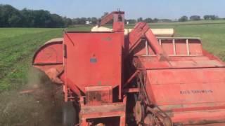 Combining Red Clover SeedCertified Organicwith Allis Chalmers 72 All-Crop