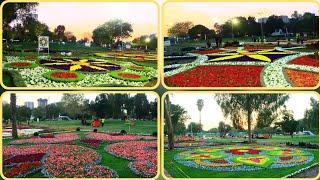 برد ورياح ومطر ️زيارتنا لمعرض الزهور في بغداد متنزه الزوراء