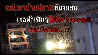 กลับมาบ้านผีตายท้องกลม”เจอตัวเป็นๆไม่คิดว่าจะเจอ..?”เกือบโดนมัน..?