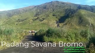 Padang Savana dan Bukit Teletubbies Gunung Bromo