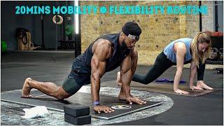 20mins Full Body FLEXIBILITY & MOBILITY Routine  FOLLOW ALONG