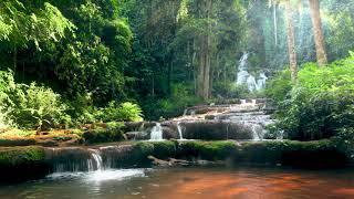 Thailand Waterfalls in the Mountain Forest. White Noise Waterfall Natural Sounds for Relaxing Sleep