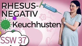 SSW 37 DAS solltest du vor der Geburt testen lassen  Mein Kinderwunsch