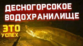 Десногорское водохранилище нашел мотор