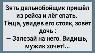 Как Теща Зятю с Эрекцией Помогла Сборник Свежих Анекдотов Юмор