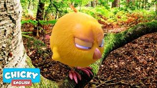 Wheres Chicky? Funny Chicky 2020   CHICKY IN THE FOREST  Chicky Cartoon in English for Kids