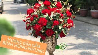 HƯỚNG DẪN CẮM BÌNH HOA HỒNG NHUNG  #họccắmhoa #hướngdẫncắmhoa #shophoalụa #shophoaĐàNẵng