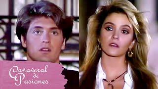 Cañaveral de pasiones Julia y Pablo se reencuentran  C-16  tlnovelas