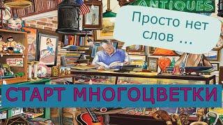 Старт многоцветки по своей схеме. Нет слов - одни эмоции...