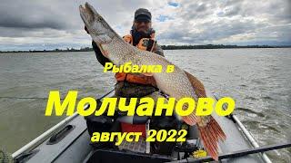 Рыбалка в Молчаново. Август 2022.