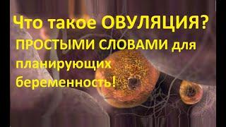 Что значитОВУЛЯЦИЯ Когда происходит и сколько длится? ‍️‍Простыми словами для ЗАЧАТИЯ ребёнка