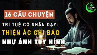 16 Câu Chuyện Trí Tuệ Cổ Nhân Dạy Thiện Ác Chi Báo Như Ảnh Tùy Hình  Triết Lý Sống Khôn