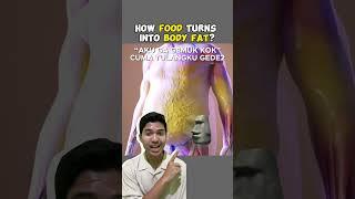 ga ada istilah tulang gede bikin gemuk itu semua karena lemak #obesitas #setauekida #youtubehealth