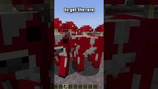 What Is The Rarest Feature in Minecraft?