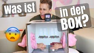 VORSICHT  - WAS ist in dieser BOX ?   Julienco