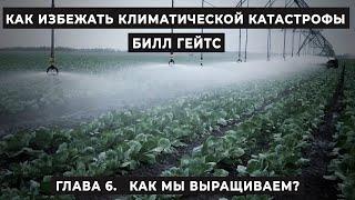 Глава 6. Как мы выращиваем? 19% из 51 млрд. тонн в год. Билл Гейтс.