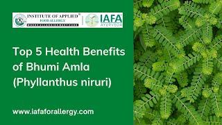 Top 5 Health Benefits of Bhumi Amla Phyllanthus niruri