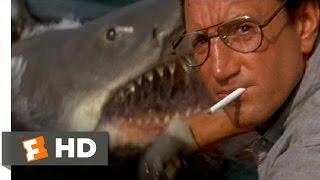 Jaws 1975 - Youre Gonna Need a Bigger Boat Scene 410  Movieclips