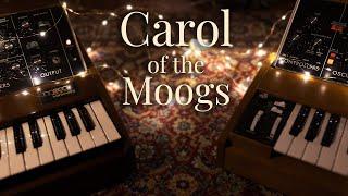 Marius Leicht - Carol of the Bells synth jam