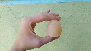 Яйце без шкарлупи
