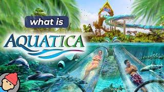 Aquatica Orlando Overview