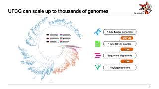 UFCG database of universal fungal core genes and... - Dongwook Kim - EvolCompGen - ISMBECCB 2023