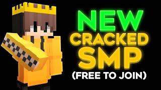 Why YOU Should Play This Cracked SMP