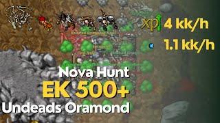 Tibia - EK 500+ hunt Undead Dragon e Fury - 4KKh raw Exp e 11KKh gold