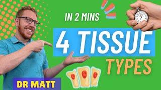 The 4 Tissue Types  In 2 Mins
