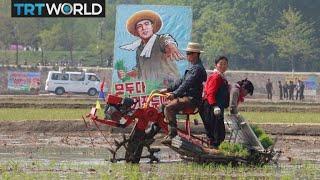 North Korea Food Crisis More than 10M people suffer from food shortages