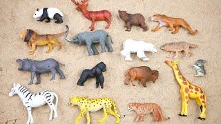 Lion Elephant Cheetah Giraffe Bear Tiger Zebra  Wolf Zoo Animals Toy Wild Animals for Kids