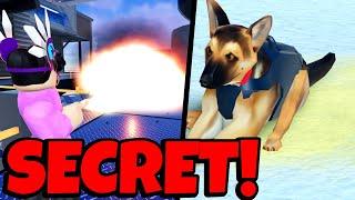 The BEST SECRETS in Roblox Jailbreak Season 19