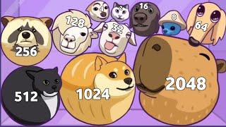 MERGE CAPYBARA 3D - ASMR Gameplay Animal Drop Puzzle Level Up Animals 2048 Math