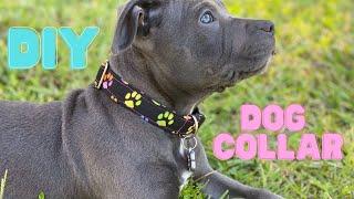 DIY Dog Collar