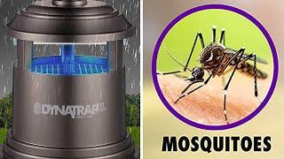 5 Things to Know About the DynaTrap XL Insect Trap