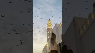 Love️Madinah  #youtubeshorts #ytshorts #short