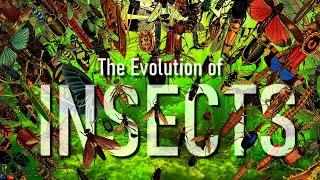 The Evolution of INSECTS Full documentary